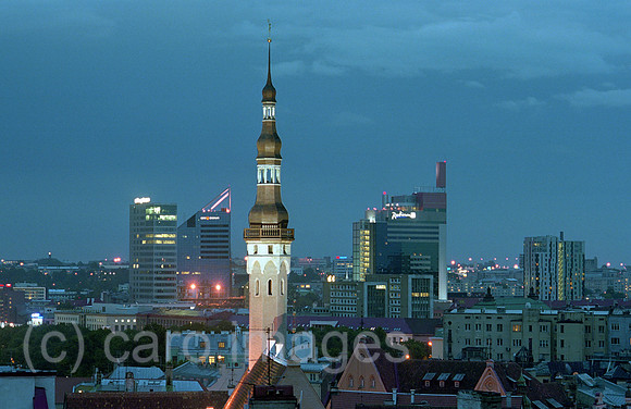 00A176609ACAROE.JPG