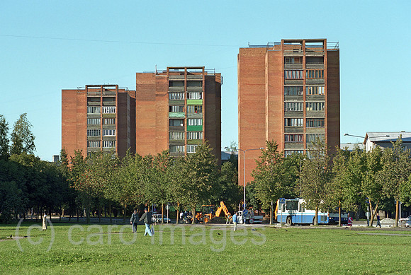 00A175427ACAROE.JPG