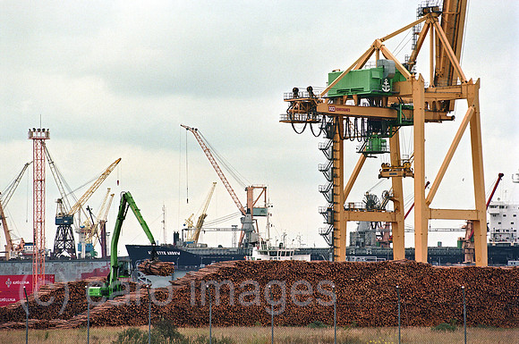 00A177715CAROE.JPG