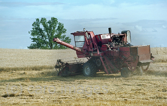 00A178337CAROE.JPG