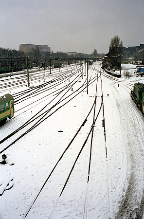 00A180215ACAROE.JPG