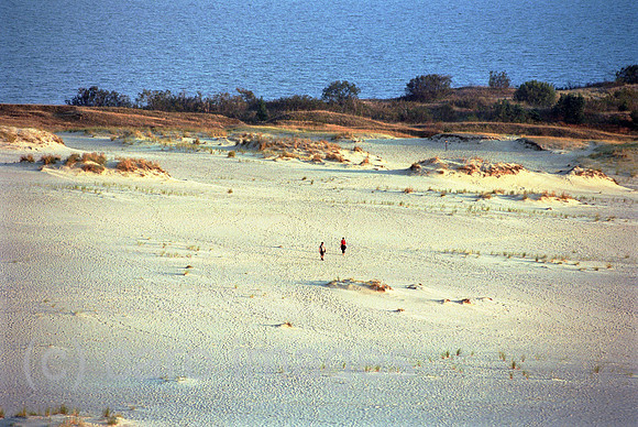 00A177324CAROE.JPG