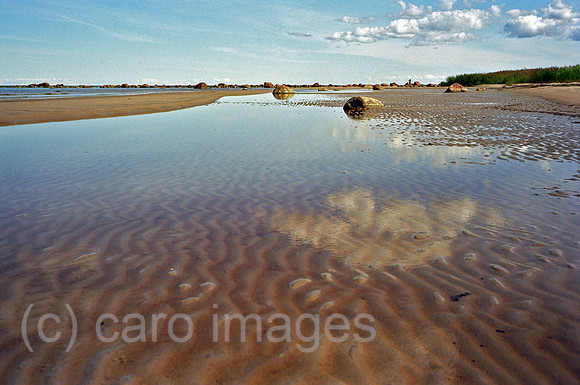 00A175606ACAROE.JPG