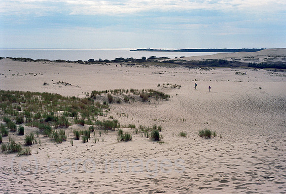 00A177119CAROE.JPG