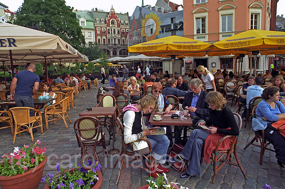 00A173308ACAROE.JPG