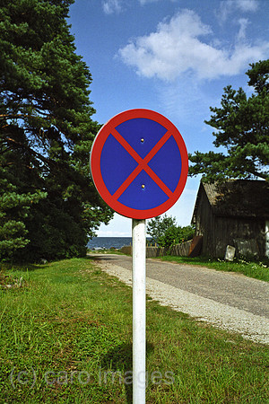 00A175728ACAROE.JPG