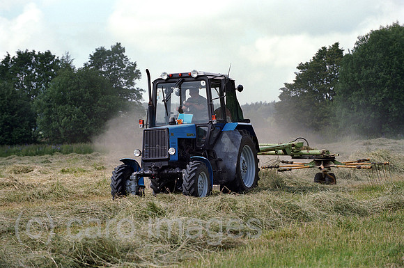 00A193924ACAROE.JPG