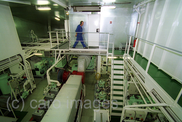 00A132603ACARO.JPG