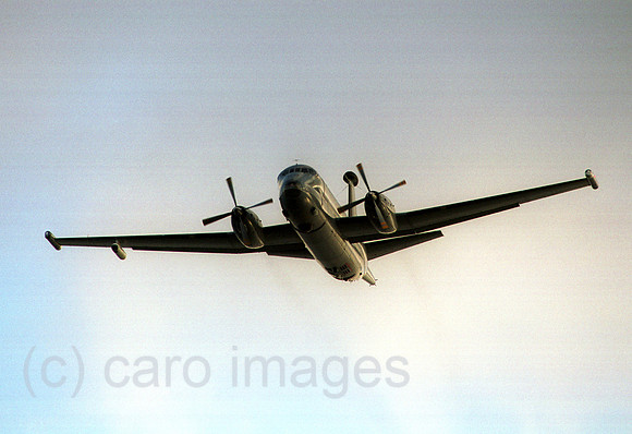 00A133129CARO.JPG