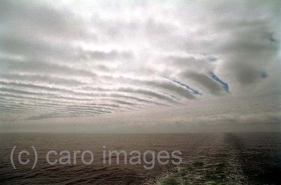 00A131830CAROE.JPG