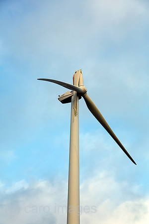 00A131229D023CAROE.JPG