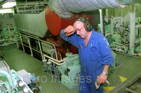 00A132615ACARO.JPG