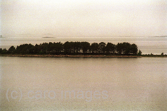 00A132004CARO.JPG