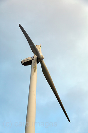 00A131229D029CAROE.JPG