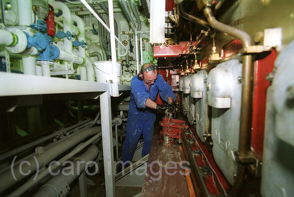 00A132611ACARO.JPG