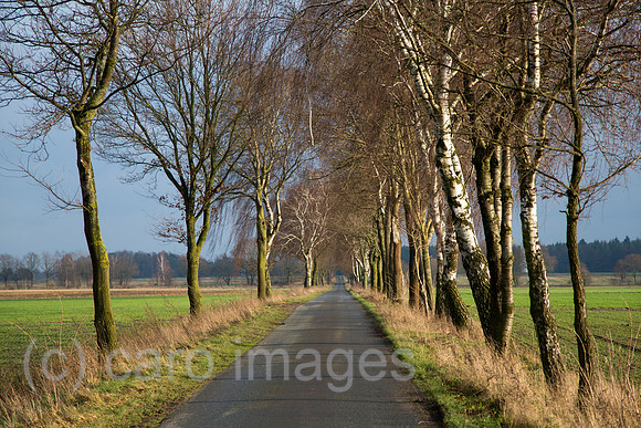 00A131229D003CAROE.JPG