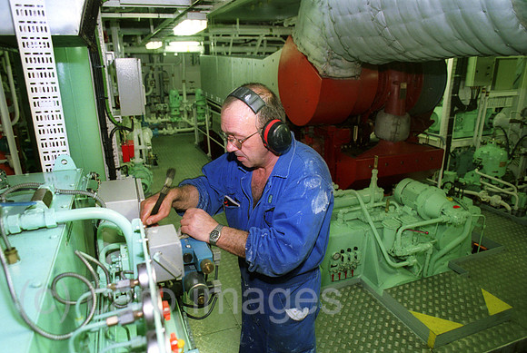 00A132614ACARO.JPG