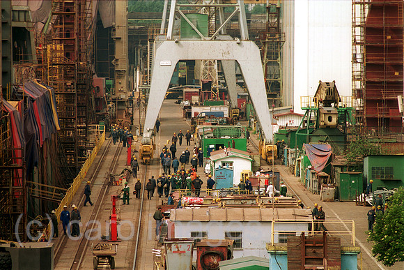 00A131412CAROE.JPG