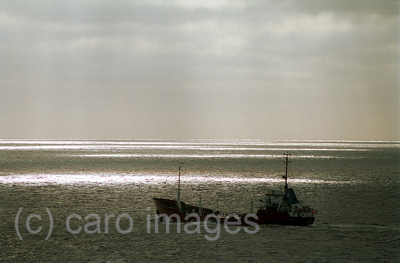 00A131312CAROE.JPG