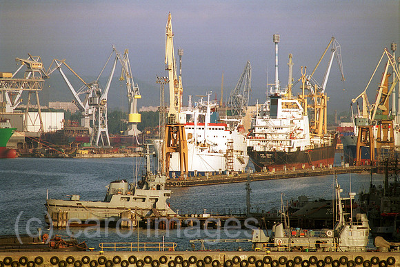 00A131703CAROE.JPG