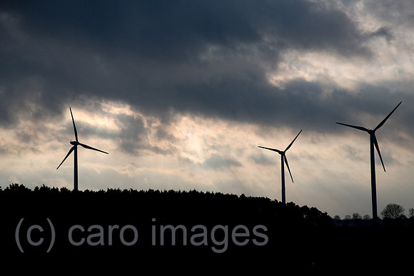00A131229D007CAROE.JPG