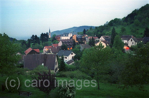 00A113528ACARO.JPG