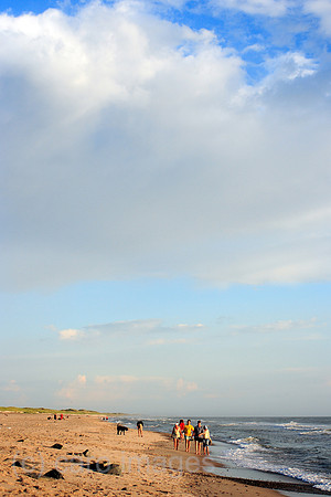 00P060801D068CAROE.JPG