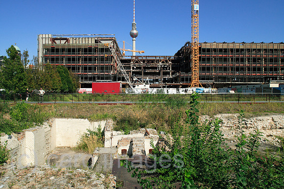 00P060910D024CARO.JPG