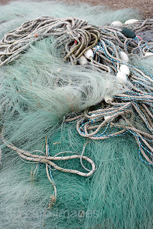 00P060801D033CAROE.JPG
