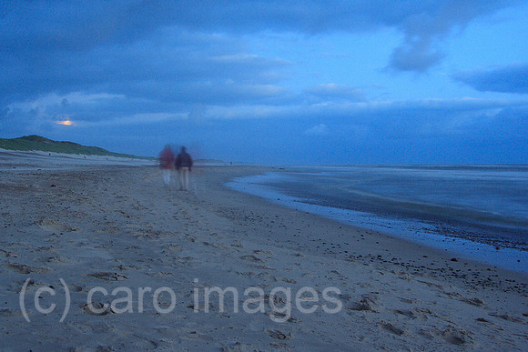 00P060801D095CAROE.JPG