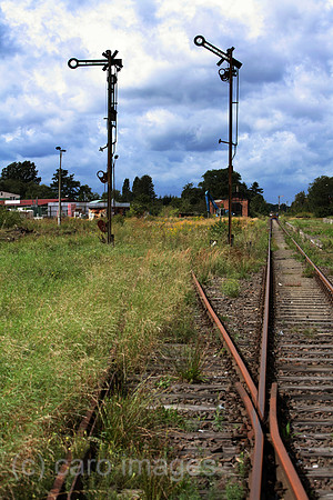 00S070816D002CARO.JPG