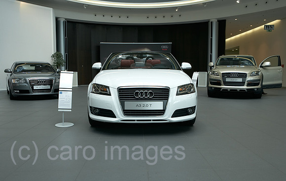 00R080606D354CARO.JPG