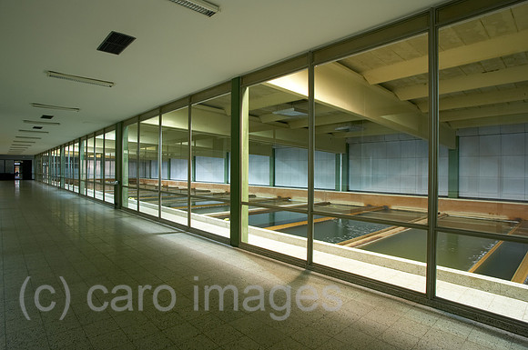 00R080526D030CARO.JPG