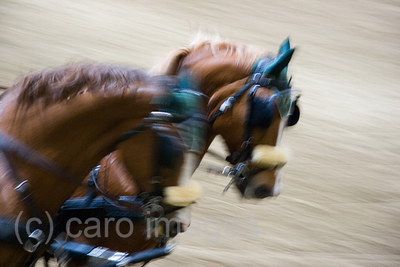 0GB080120D020CARO.JPG