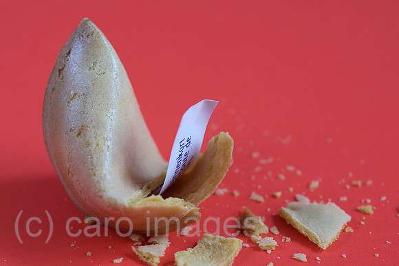 00N091218D062CARO.JPG