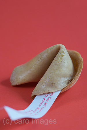 00N091218D042CARO.JPG