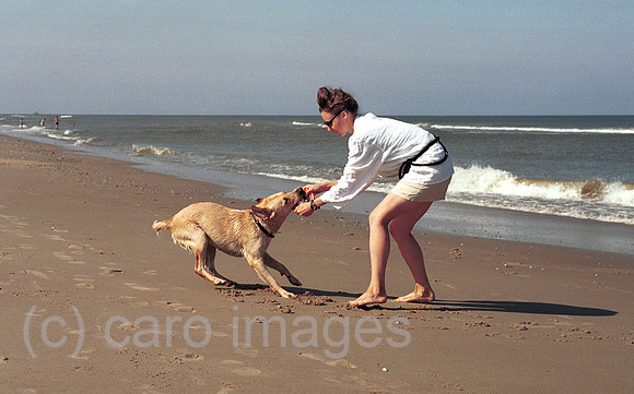 00L034117CARO.JPG