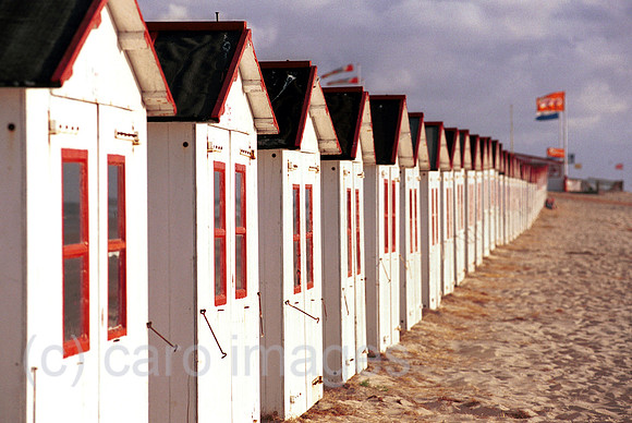 00L034223CARO.JPG