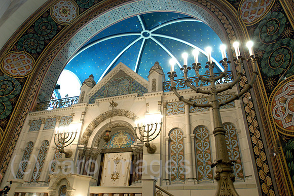 Y040830D003CARO.JPG