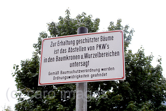 Y040726D001CARO.JPG