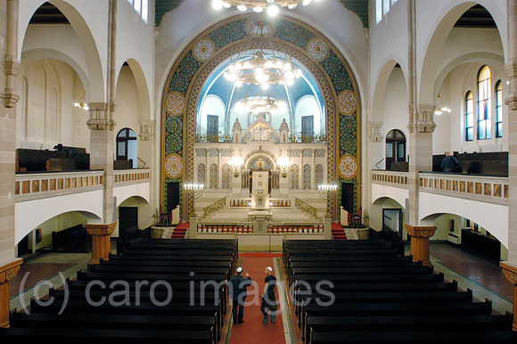 Y040830D017CARO.JPG