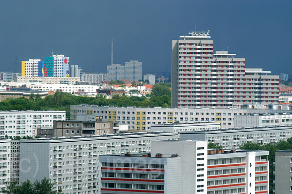 Y040523D003CARO.JPG
