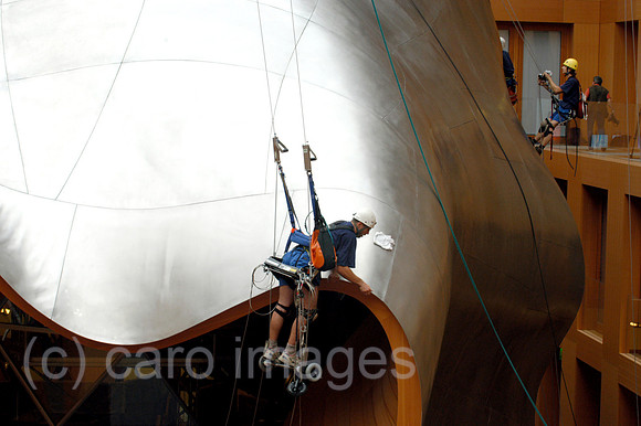 Y040819D004CARO.JPG