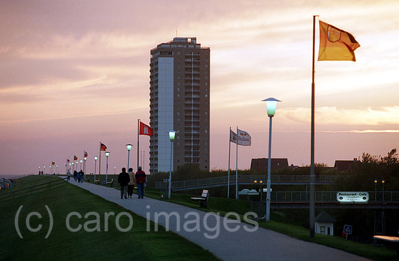 00M050837CARO.JPG