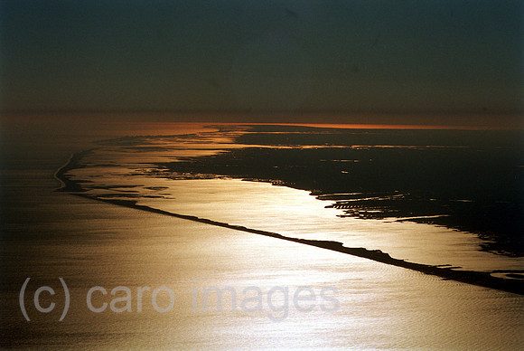 00M047102CARO.JPG