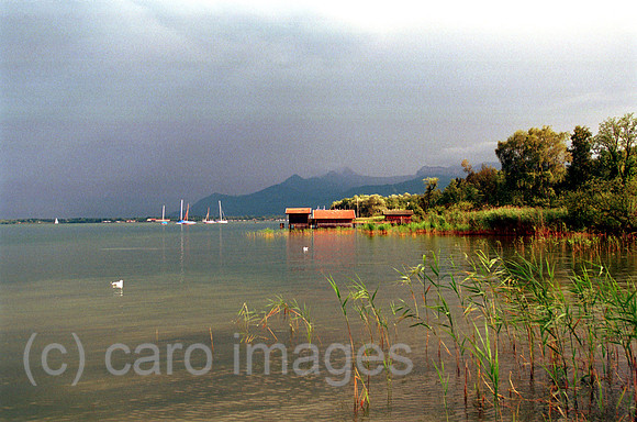 00M054512CARO.JPG