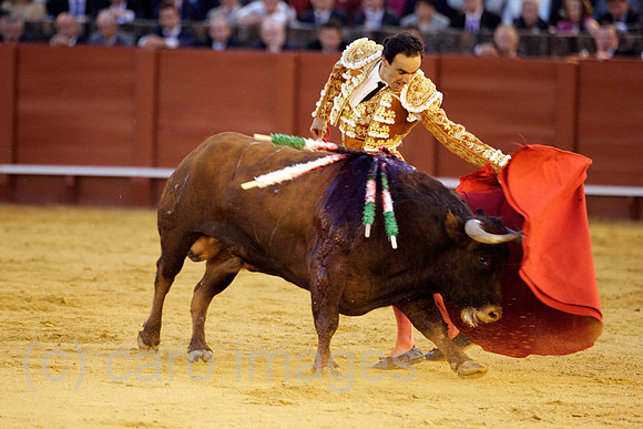 0FR060416D177CARO.JPG