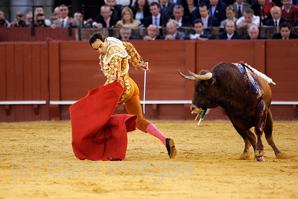 0FR060416D172CARO.JPG