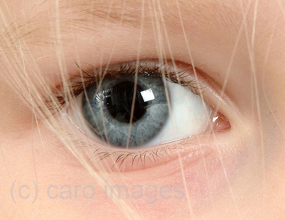 0SH050301D047CARO.JPG