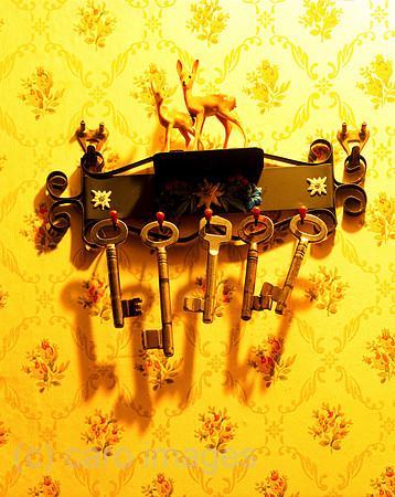 0SH050228D051CARO.JPG